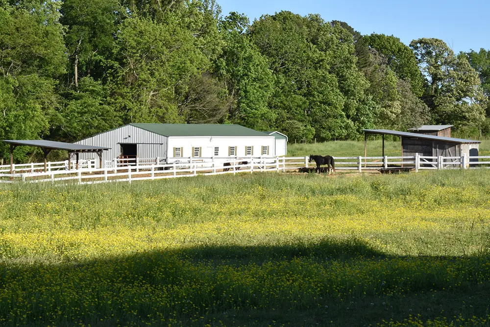Horse barn with white fence and green roof on grassy field